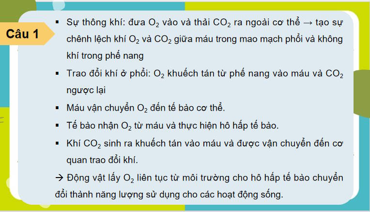 Giáo án PowerPoint Sinh học 11 Kết nối Bài 9