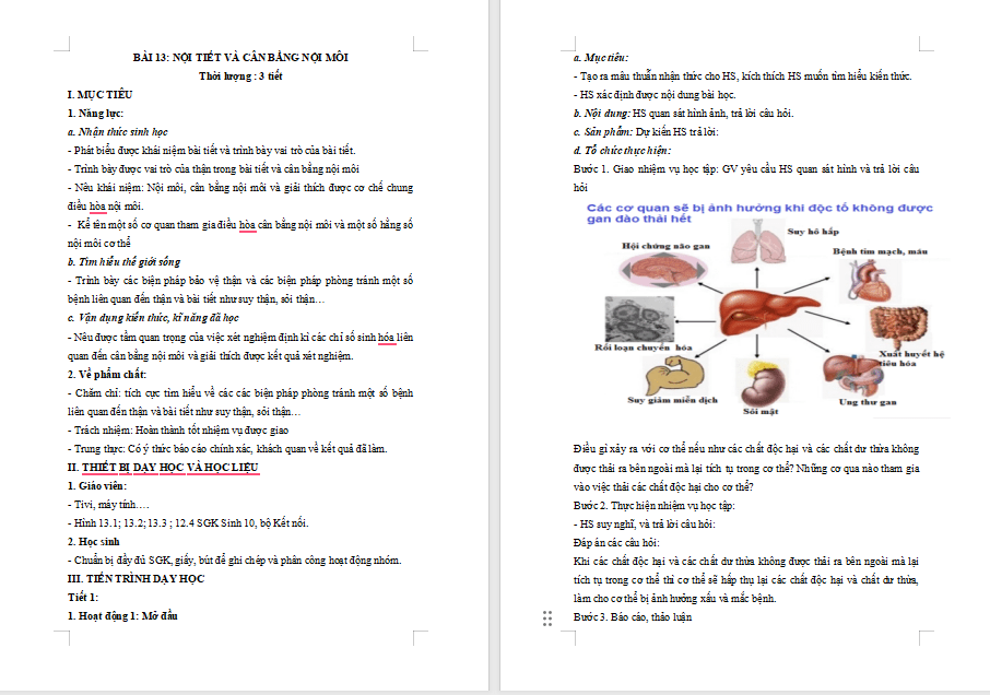 Giáo án PowerPoint Sinh học 11 Kết nối Bài 13