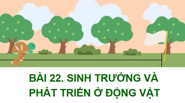 Giáo án PowerPoint Sinh học 11 Kết nối Bài 22