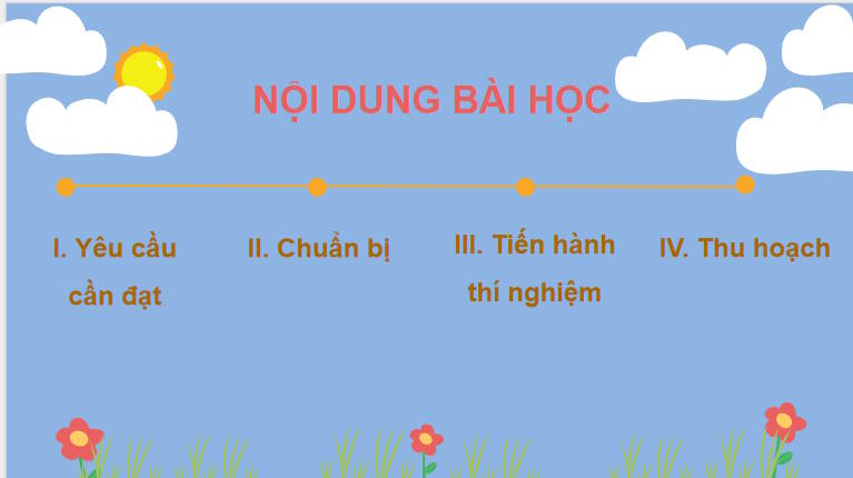 Giáo án PowerPoint Sinh học 11 Kết nối Bài 23