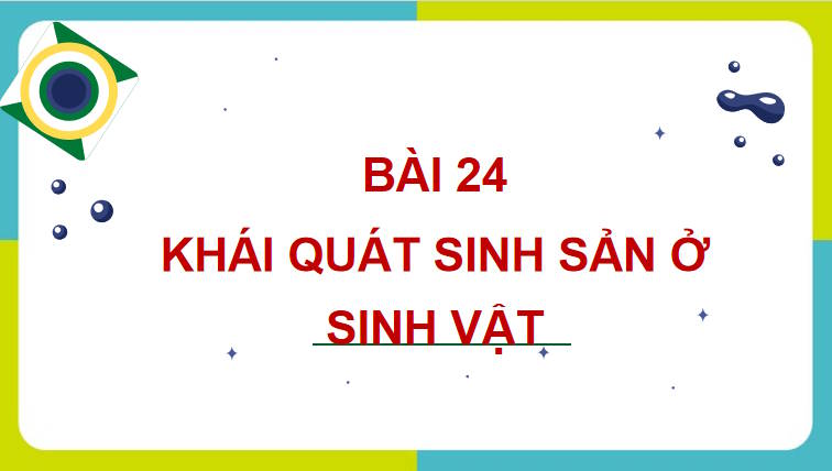 Giáo án PowerPoint Sinh học 11 Kết nối Bài 24