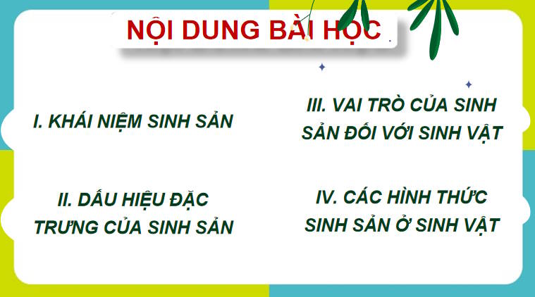 Giáo án PowerPoint Sinh học 11 Kết nối Bài 24