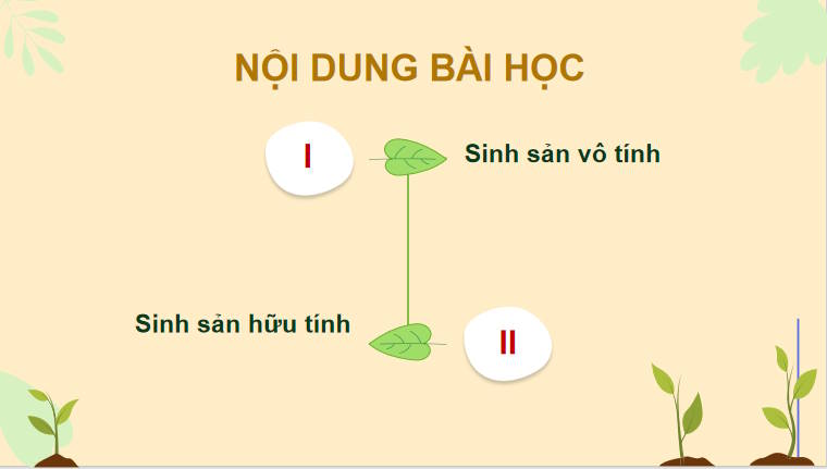 Giáo án PowerPoint Sinh học 11 Kết nối Bài 25