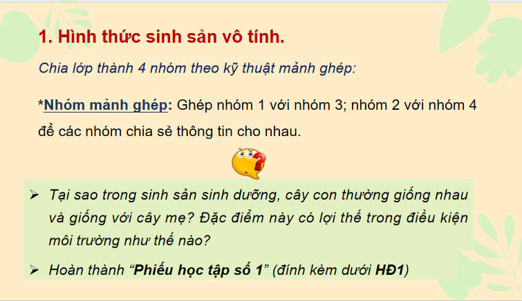 Giáo án PowerPoint Sinh học 11 Kết nối Bài 25