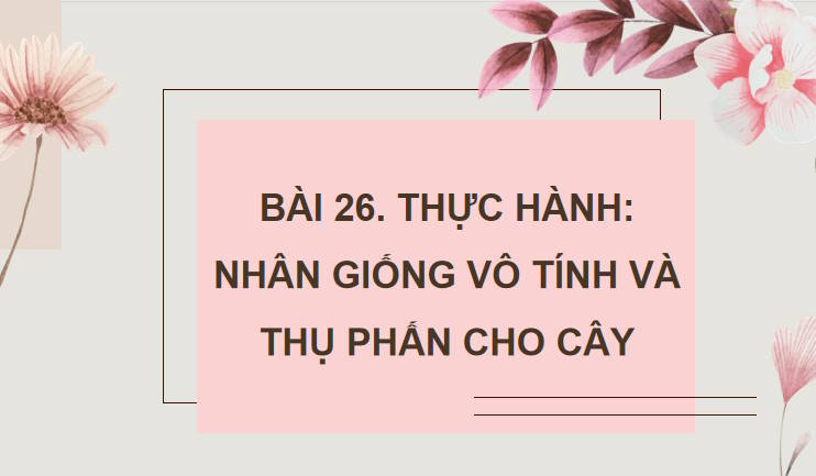 Giáo án PowerPoint Sinh học 11 Kết nối Bài 26
