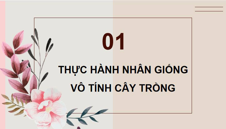 Giáo án PowerPoint Sinh học 11 Kết nối Bài 26