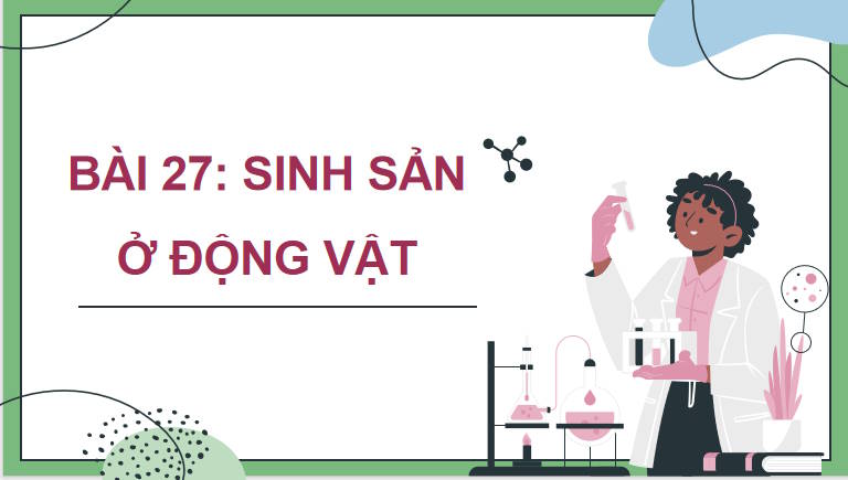 Giáo án PowerPoint Sinh học 11 Kết nối Bài 27