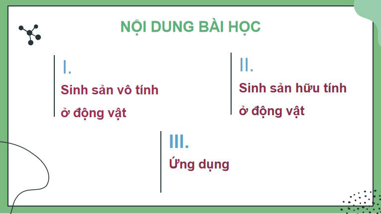 Giáo án PowerPoint Sinh học 11 Kết nối Bài 27
