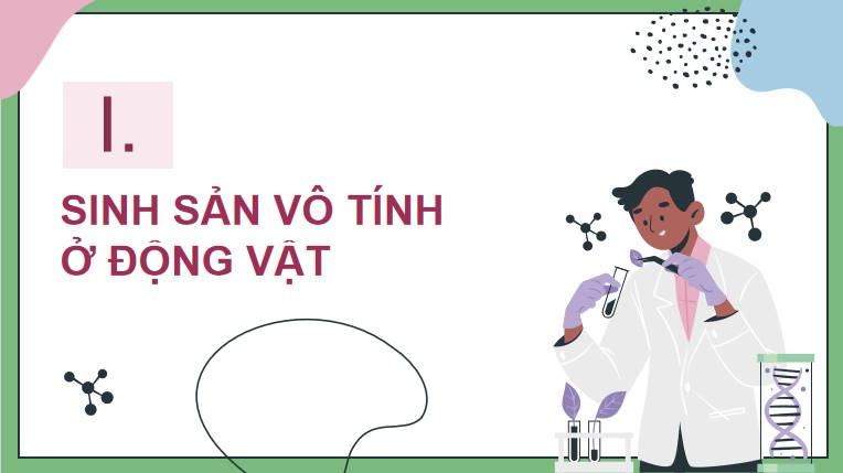 Giáo án PowerPoint Sinh học 11 Kết nối Bài 27