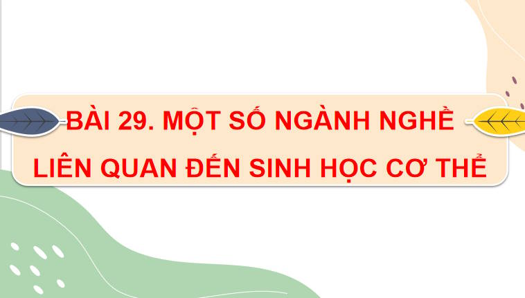 Giáo án PowerPoint Sinh học 11 Kết nối Bài 29
