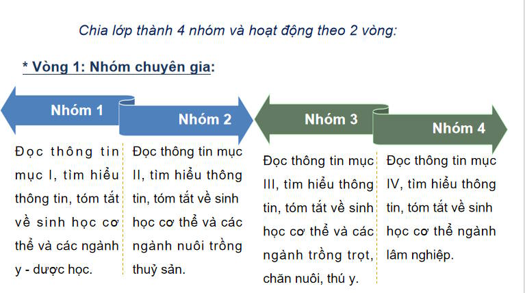 Giáo án PowerPoint Sinh học 11 Kết nối Bài 29