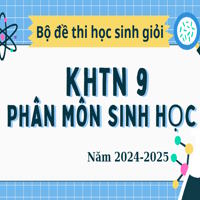 100 đề thi HSG phân môn Sinh học 9 năm học 2024-2025 có đáp án