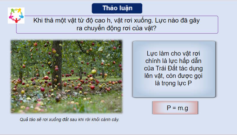 Giáo án PowerPoint Vật lí 10 Bài 11 Chân trời sáng tạo