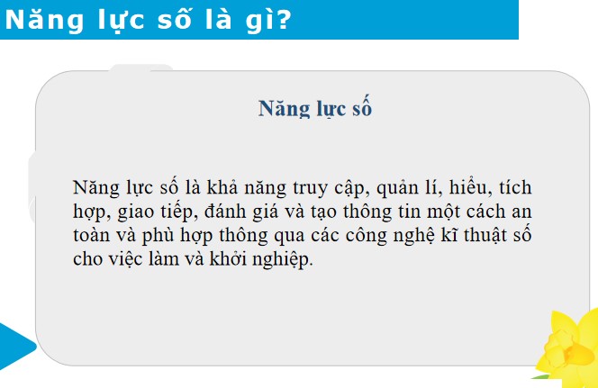 Powerpoint Bài giảng tập huấn giáo dục năng lực số Tiểu học