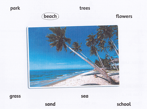 SBT Family and Friends 4 Unit 5 Lesson 5 minh họa 1