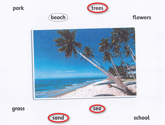 SBT Family and Friends 4 Unit 5 Lesson 5 minh họa 2