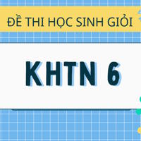 Bộ 30 đề thi học sinh giỏi KHTN 6
