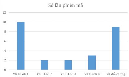 Bộ câu hỏi trả lời ngắn về Điều hòa biểu hiện gene