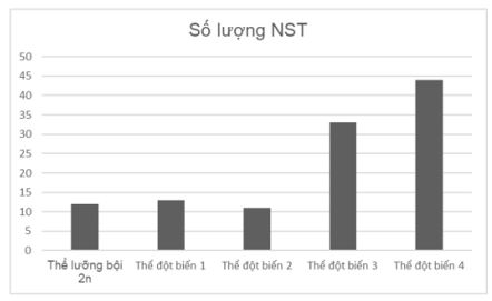 Bộ câu hỏi trả lời ngắn về đột biến lệch bội nhiễm sắc thể