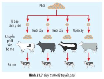 Bộ câu hỏi trắc nghiệm đúng sai về Công nghệ gene