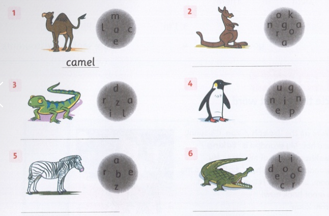 SBT Family and Friends 4 Unit 6 Lesson 1 minh họa 1