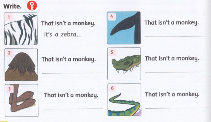 SBT Family and Friends 4 Unit 6 Lesson 1 minh họa 2