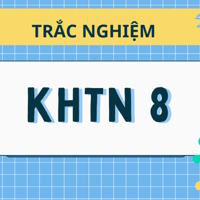 Câu hỏi trắc nghiệm KHTN 8 sách Kết nối tri thức có đáp án