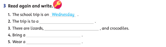 Family and Friends 4 Unit 6 lesson 5 minh họa 2