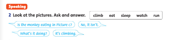 Family and Friends 4 Unit 6 lesson 6 minh họa 2