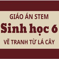 Giáo án Stem Sinh học 6: Vẽ tranh từ lá cây 