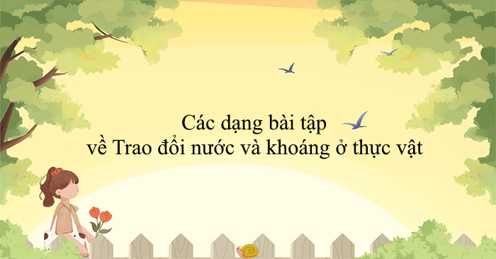 Các dạng bài tập về Trao đổi nước và khoáng ở thực vật