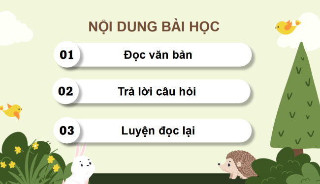 PowerPoint Tiếng Việt 4 Bài 13: Con vẹt xanh