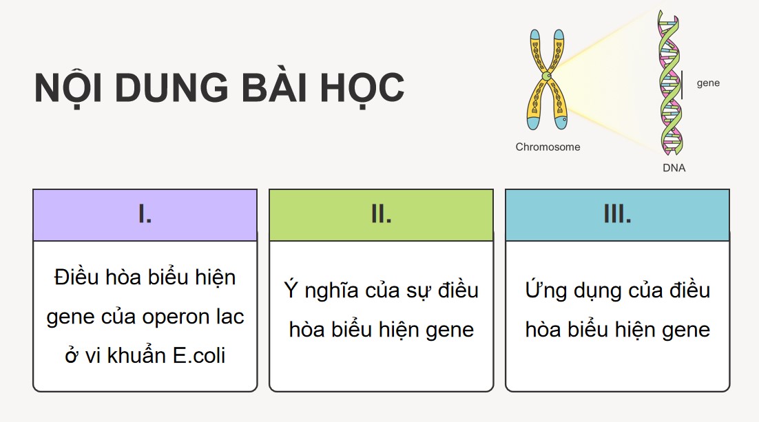 Giáo án PPT Sinh 12 Cánh Diều Bài 3