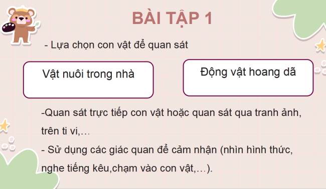 PowerPoint Tiếng Việt 4 Bài 26: Quan sát con vật