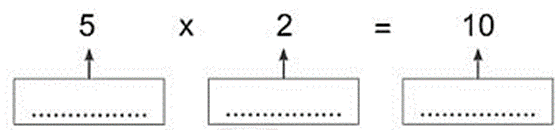 Vở bài tập Toán lớp 2 Cánh diều Bài 54: Thừa số - Tích (trang 9)