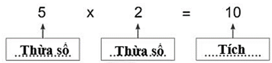 Vở bài tập Toán lớp 2 Cánh diều Bài 54: Thừa số - Tích (trang 9)