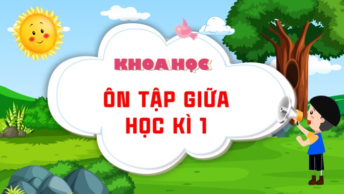 Giáo án PowerPoint Khoa học 4 Bài 8: Ôn tập đánh giá giữa Học kì I