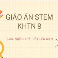 Giáo án Stem KHTN 9 chủ đề: Làm nước trái cây lên men