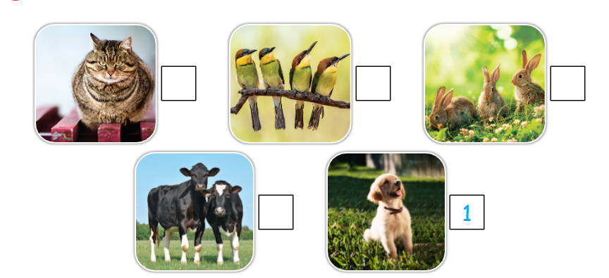 Tiếng Anh lớp 1 Wonderful World Unit 5 Lesson 1 minh họa 2