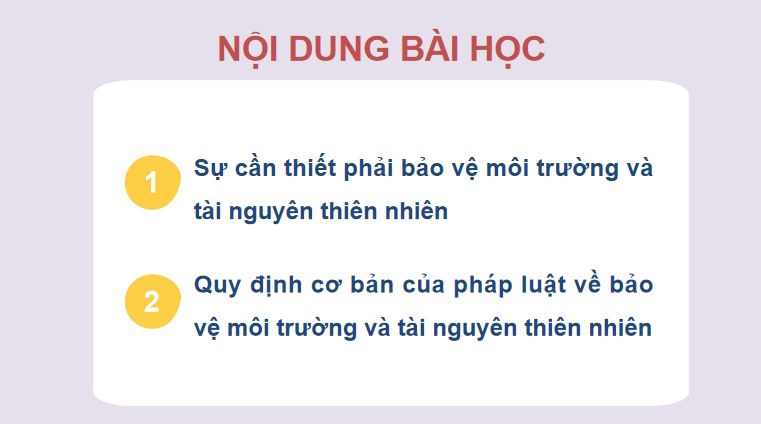 Bảo vệ môi trường và tài nguyên thiên nhiên