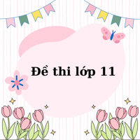 Đề thi Lịch sử lớp 11 năm 2026