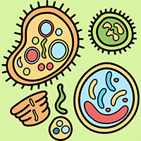 Giáo án Sinh học 12 Bài 10: Mối quan hệ giữa kiểu gene, môi trường và kiểu hình