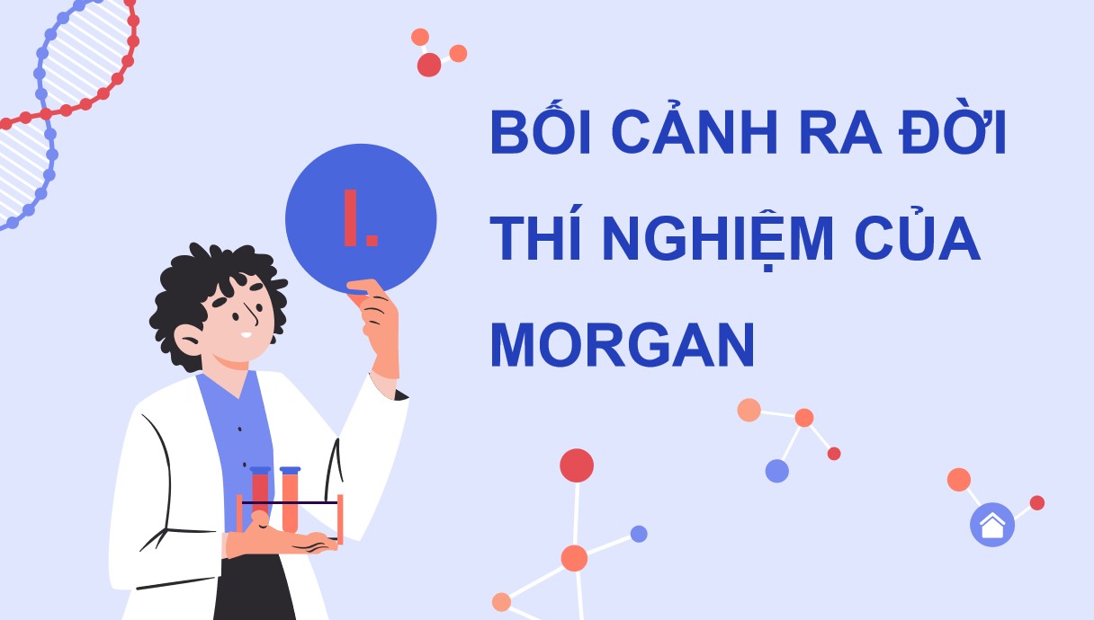 Giáo án PPT Sinh 12 Cánh Diều Bài 8