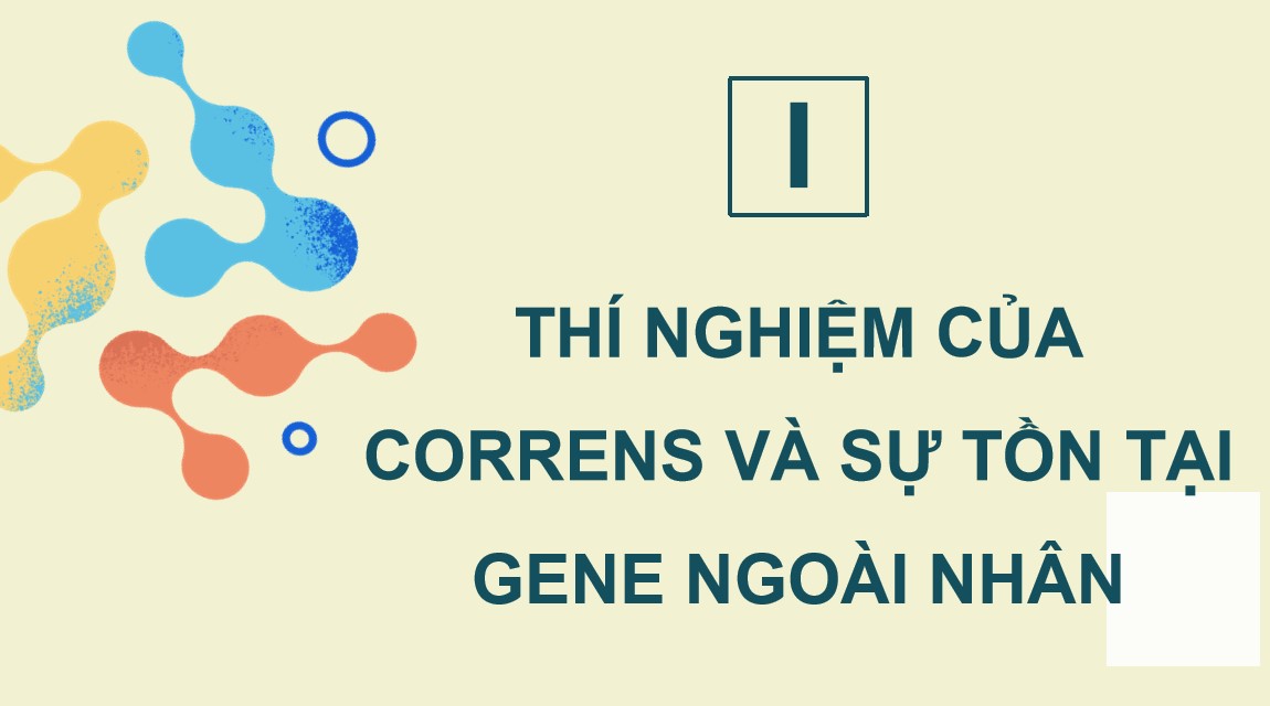 Giáo án PPT Sinh 12 Cánh Diều Bài 9