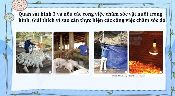 PowerPoint Khoa học 4 Chăm sóc cây trồng, vật nuôi