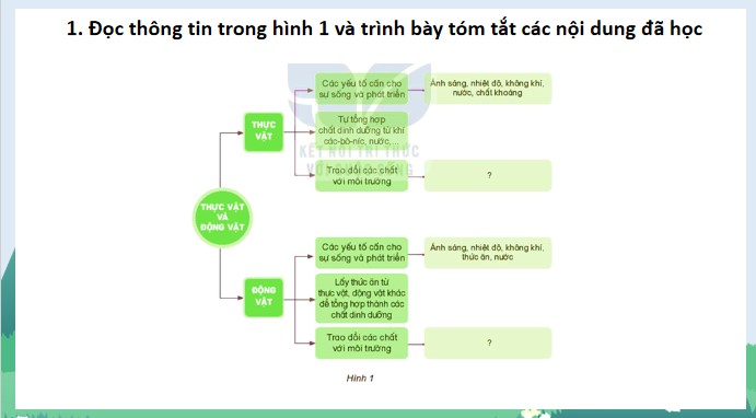 PowerPoint Khoa học 4 Ôn tập chủ đề Thực vật và động vật