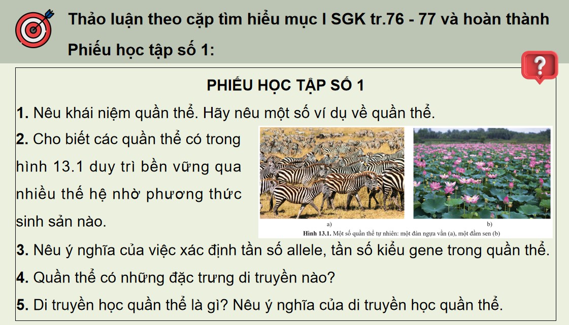 Giáo án PPT Sinh 12 Cánh Diều Bài 13