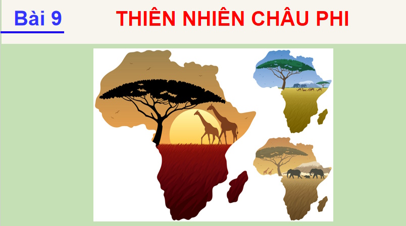 Thiên nhiên châu Phi