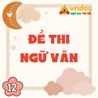 Đề thi giữa học kì 2 Văn 12 năm 2026