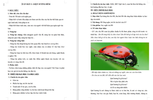 Giáo án Văn 6 Bài 4: Giọt sương đêm